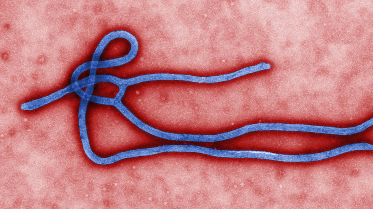 3217_EbolaOutbreakPromo2