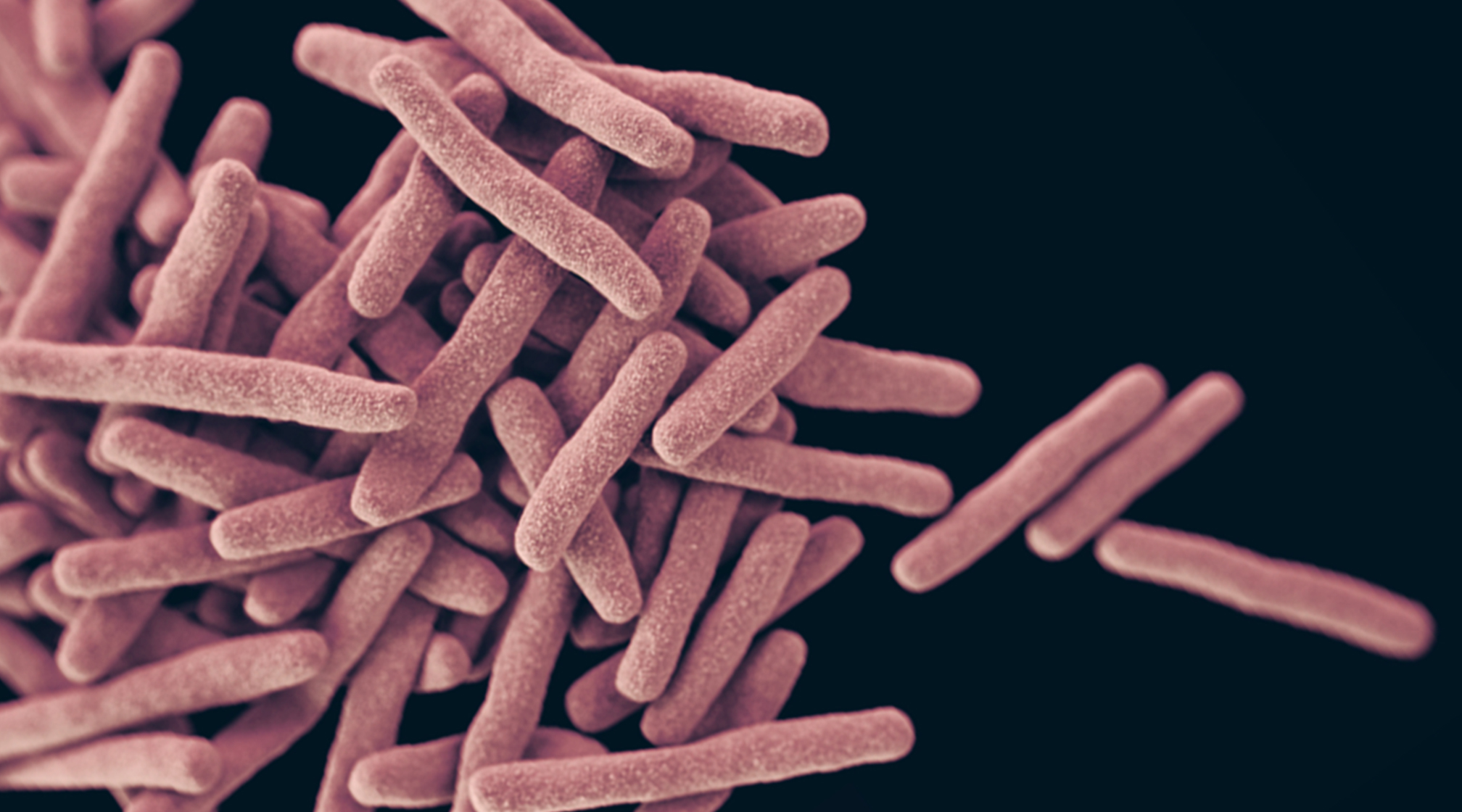 nightmare-bacteria-iPAD