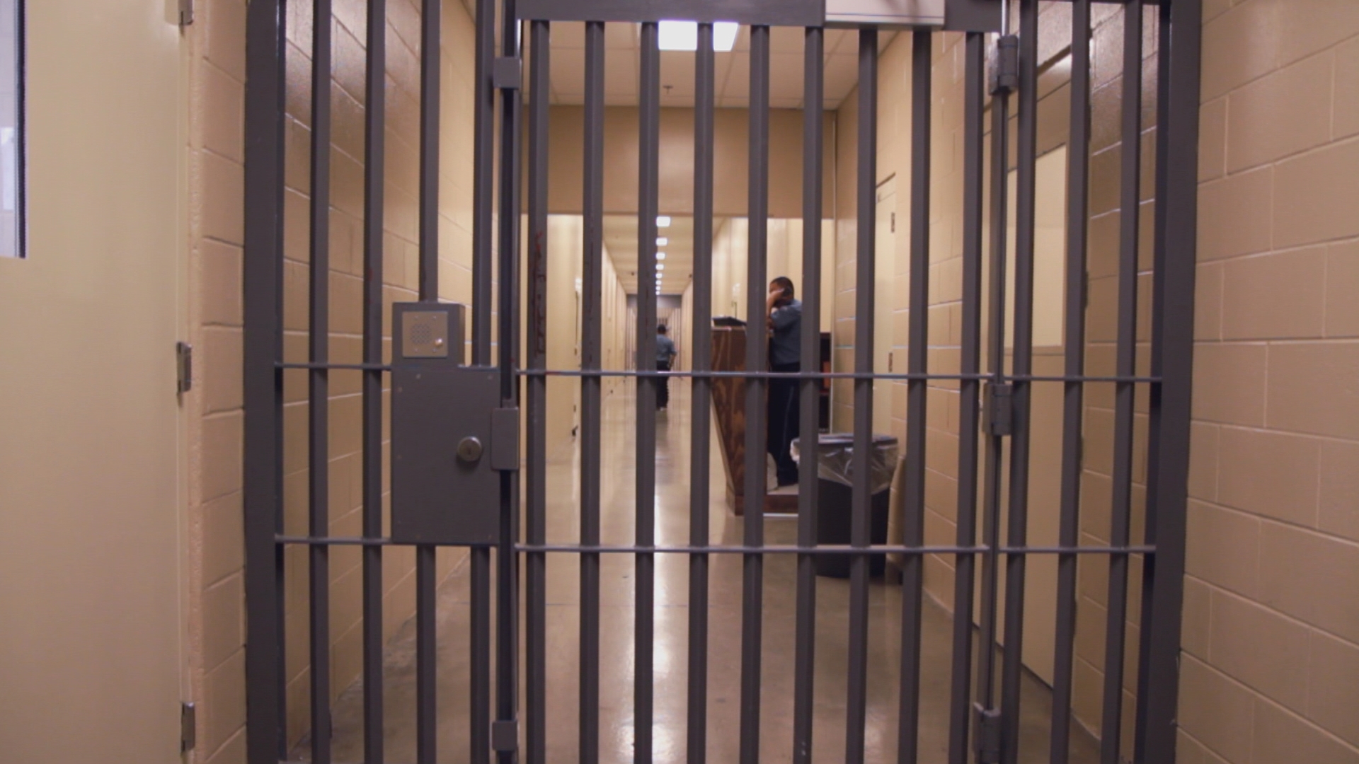 jail bars