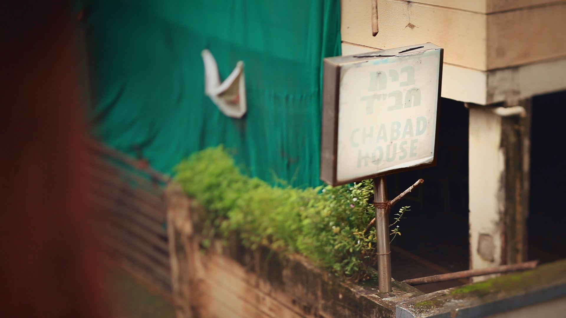 chabad house sign