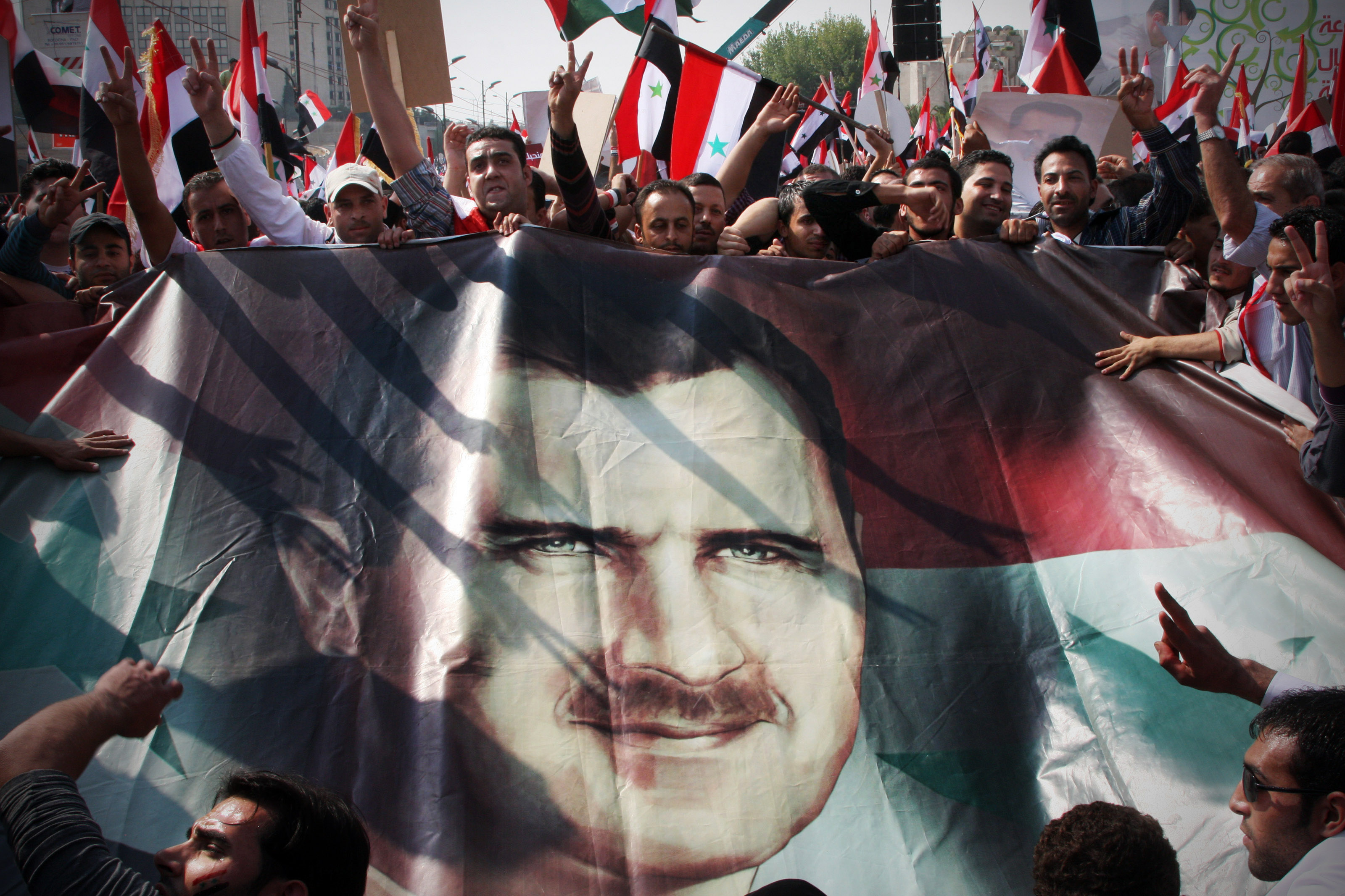 Pro-Gov't Syria Demonstration