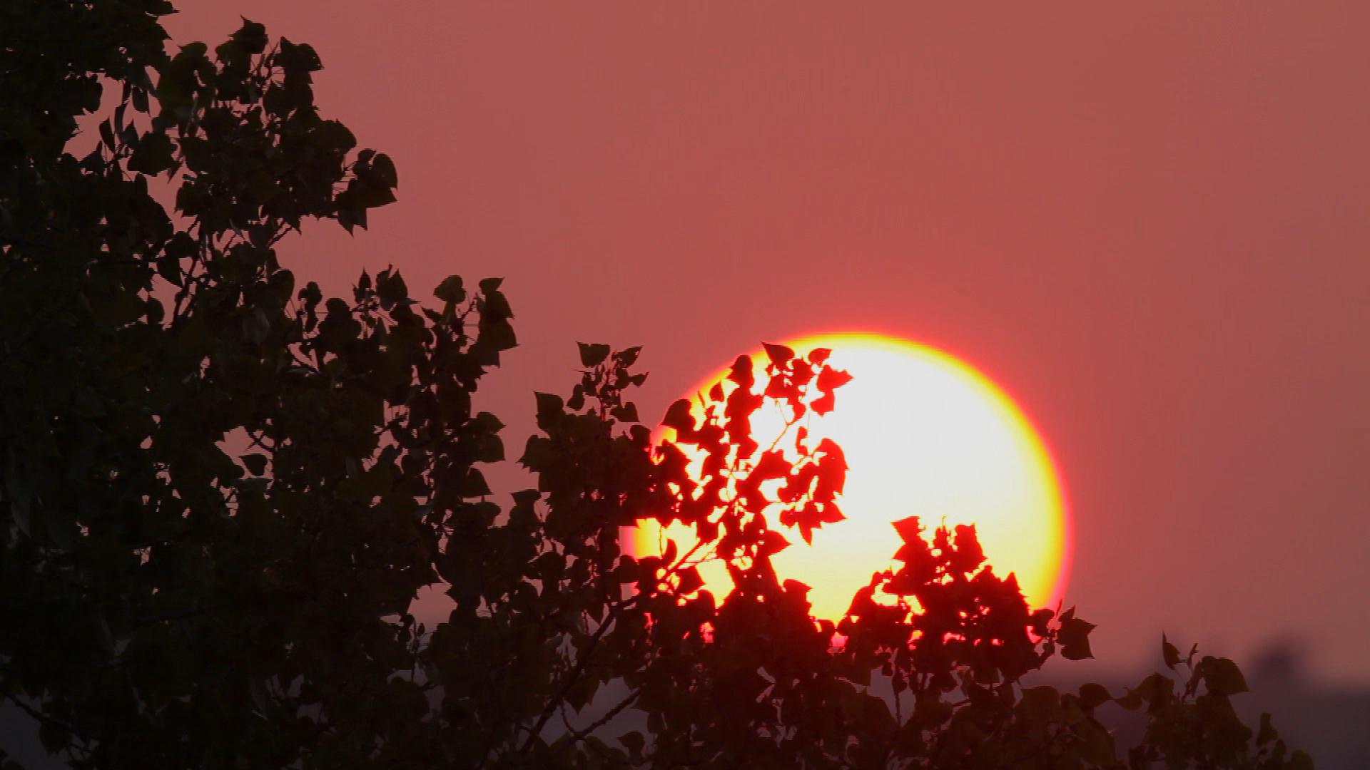 sunrise