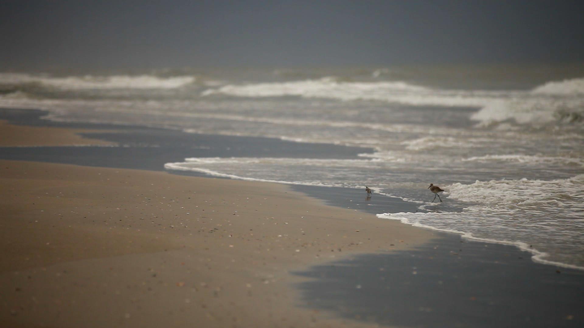 beach