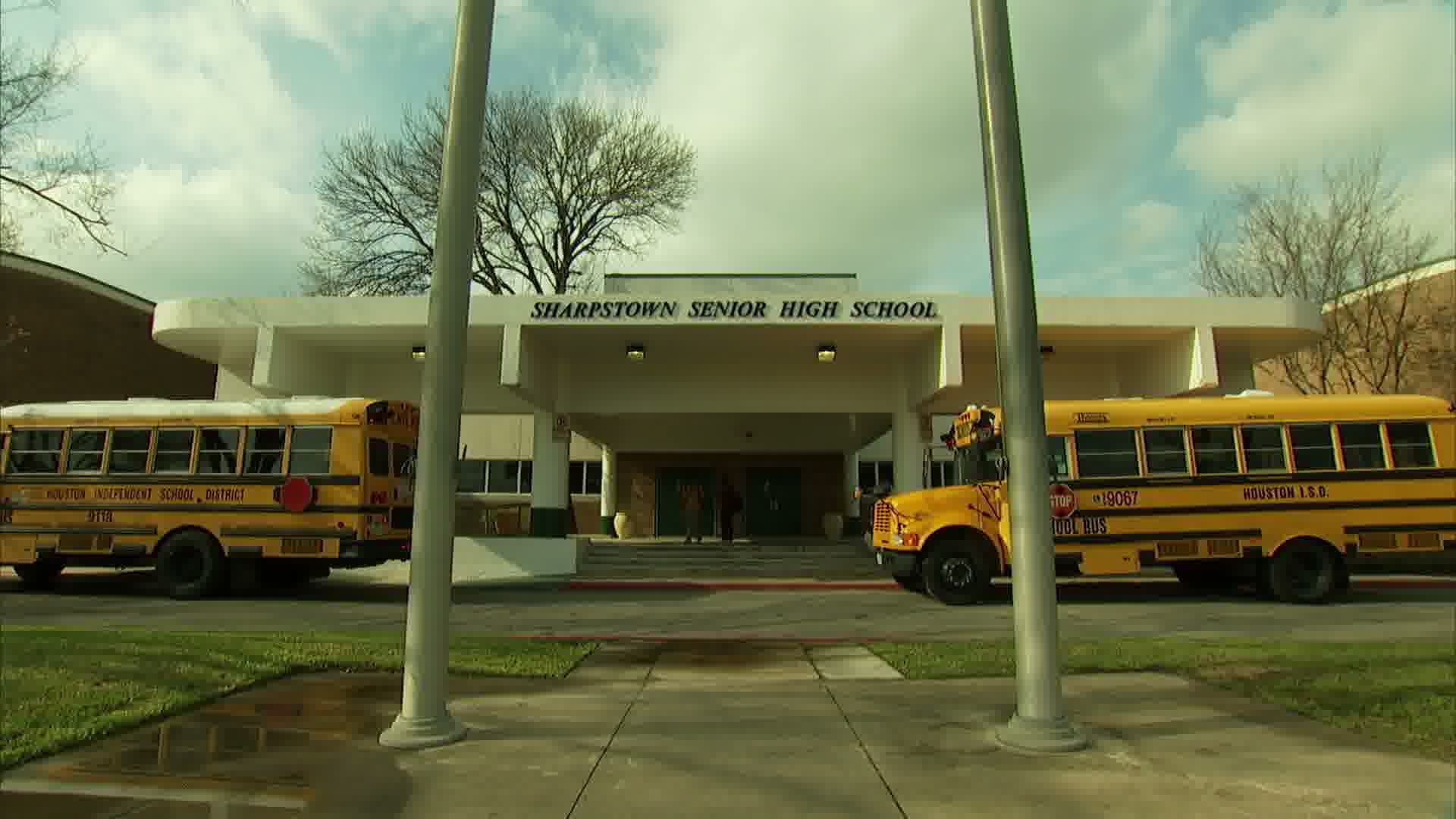 buses