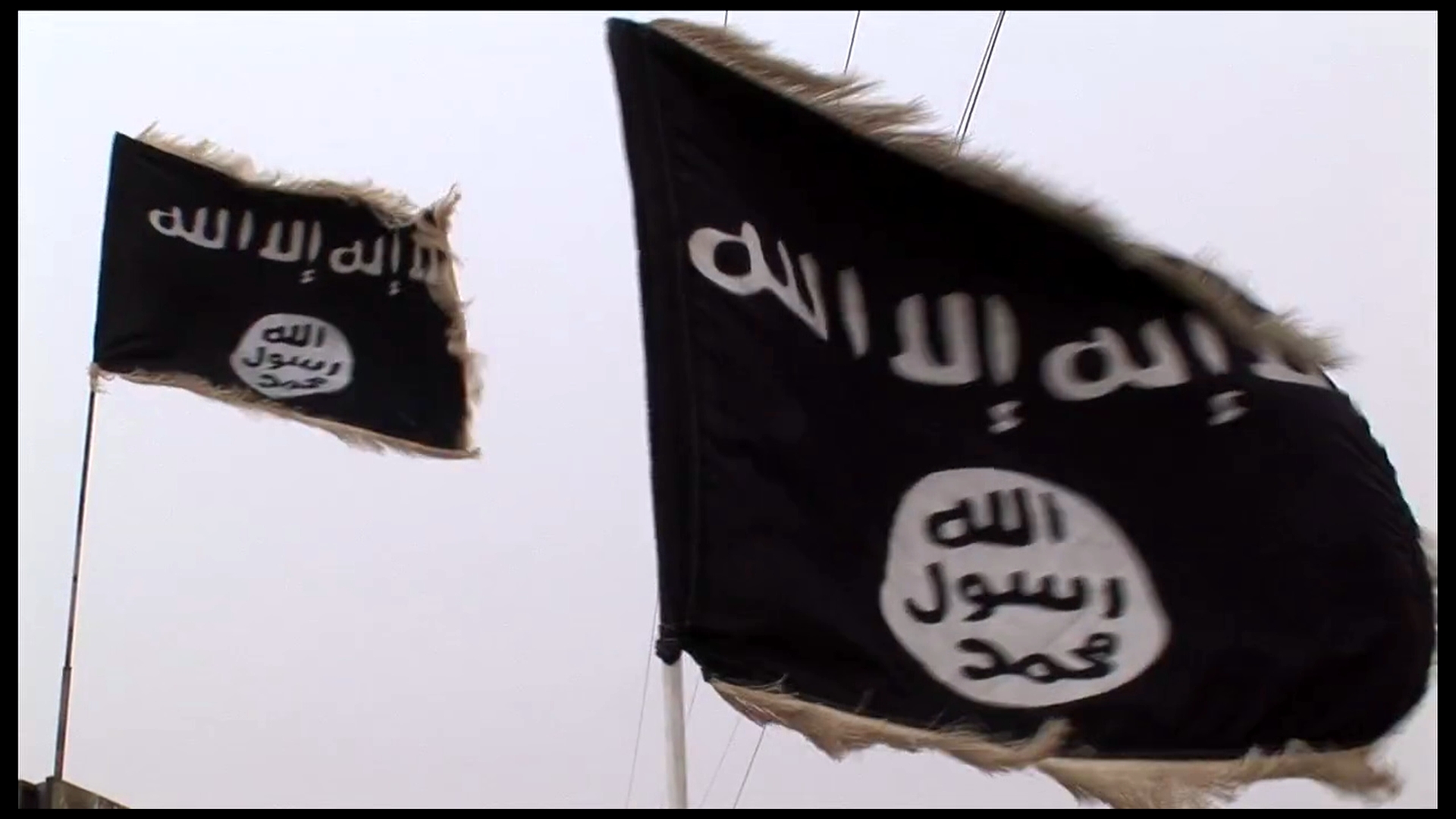 flags