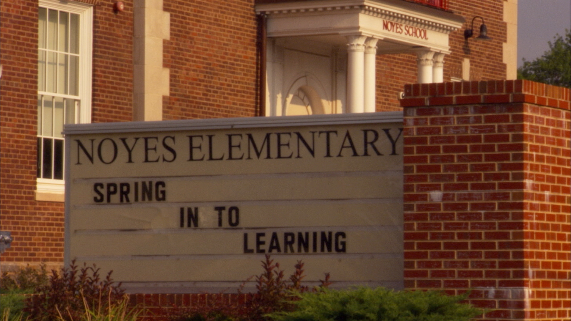 noyes sign
