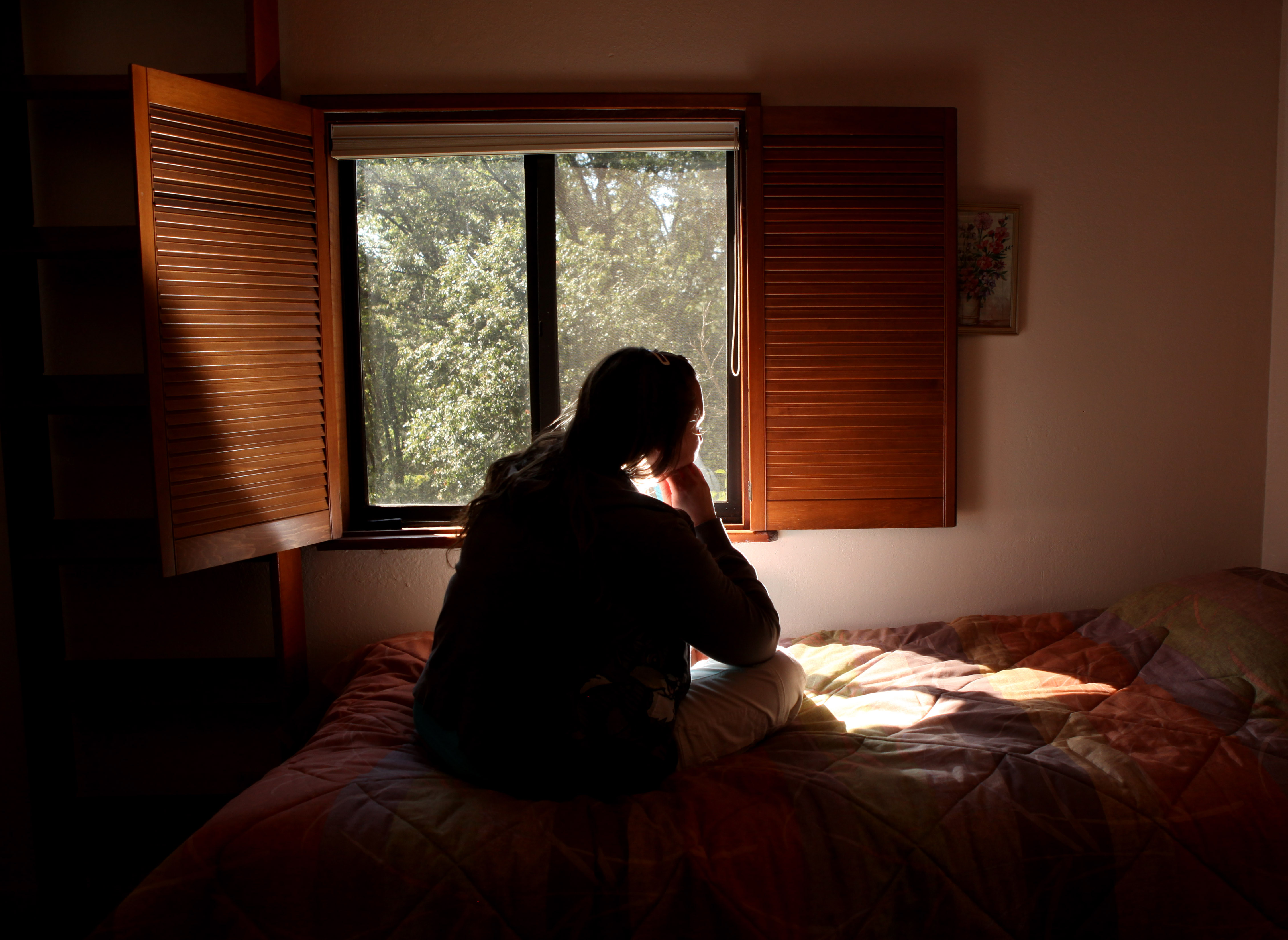 Domestic Violence VAWA