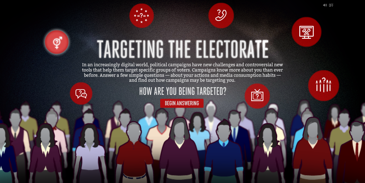 Targeting the Electorate