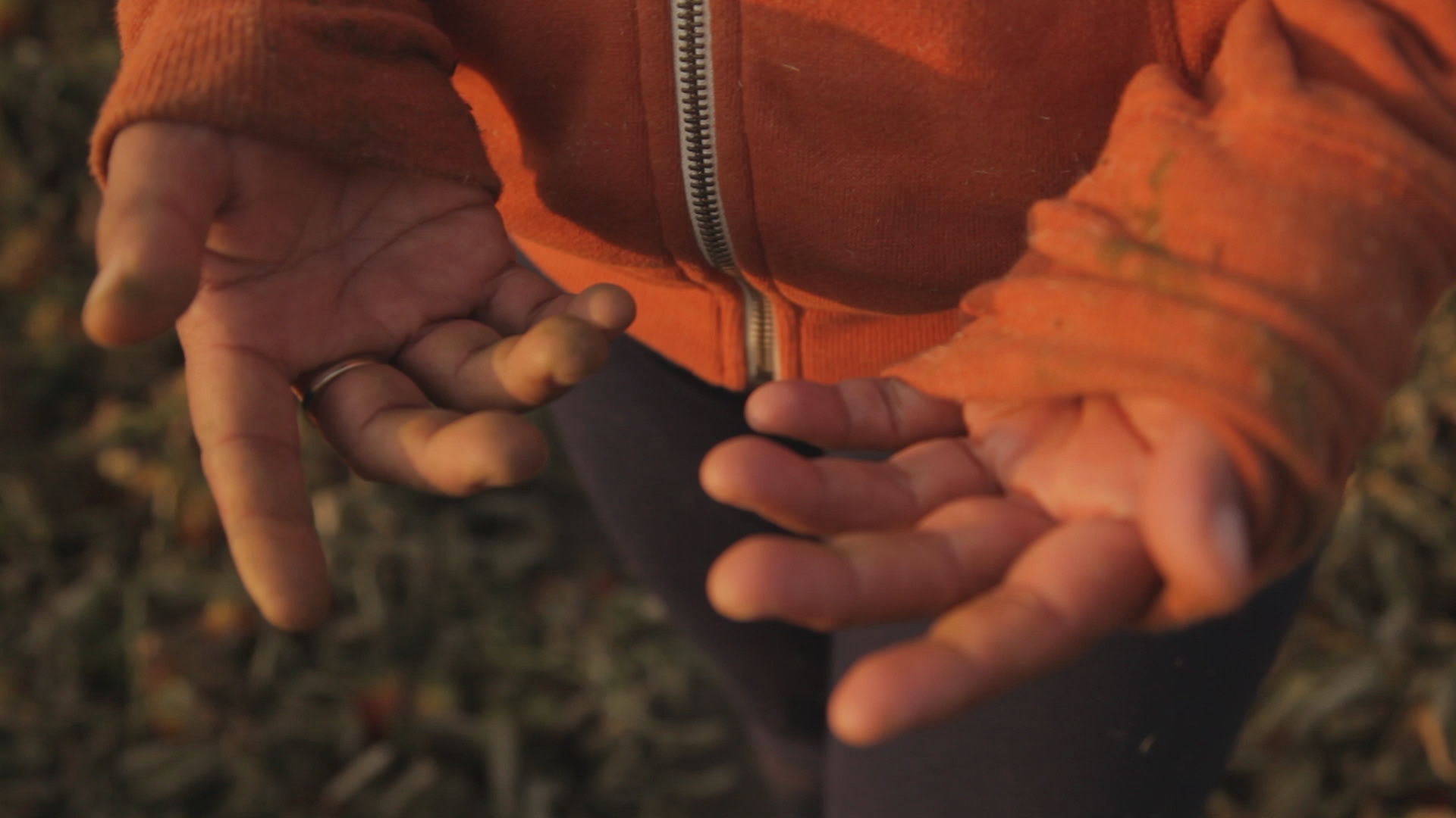 hands