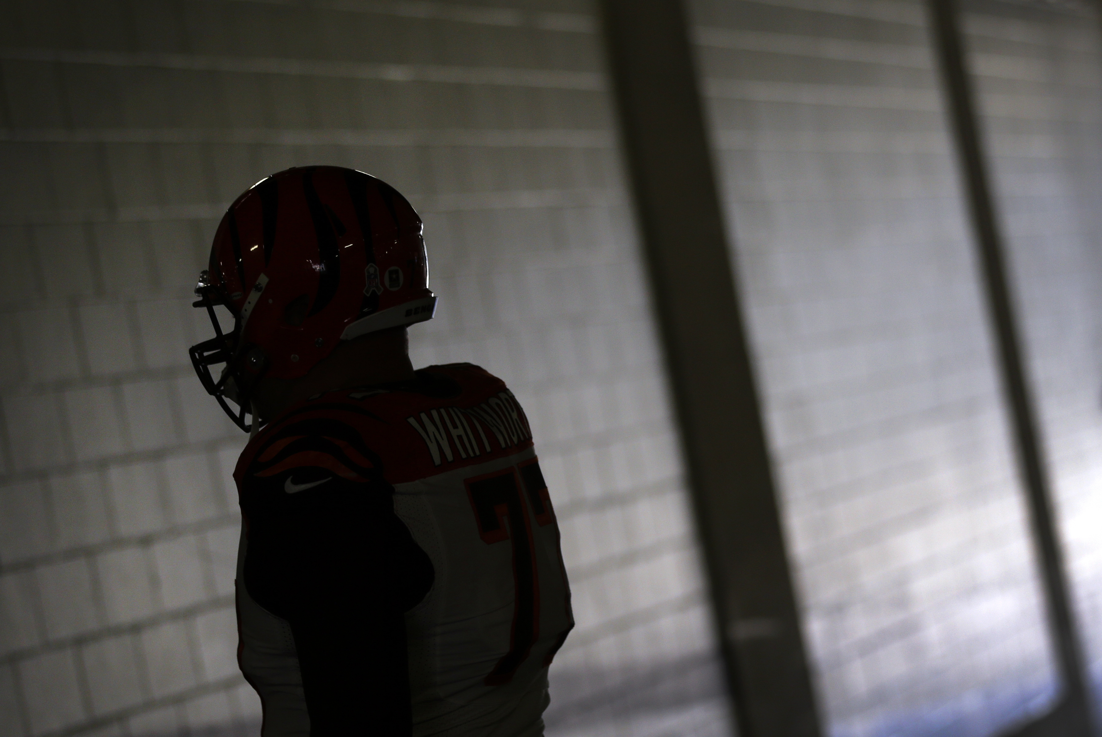 BENGALS RAVENS FOOTBALL