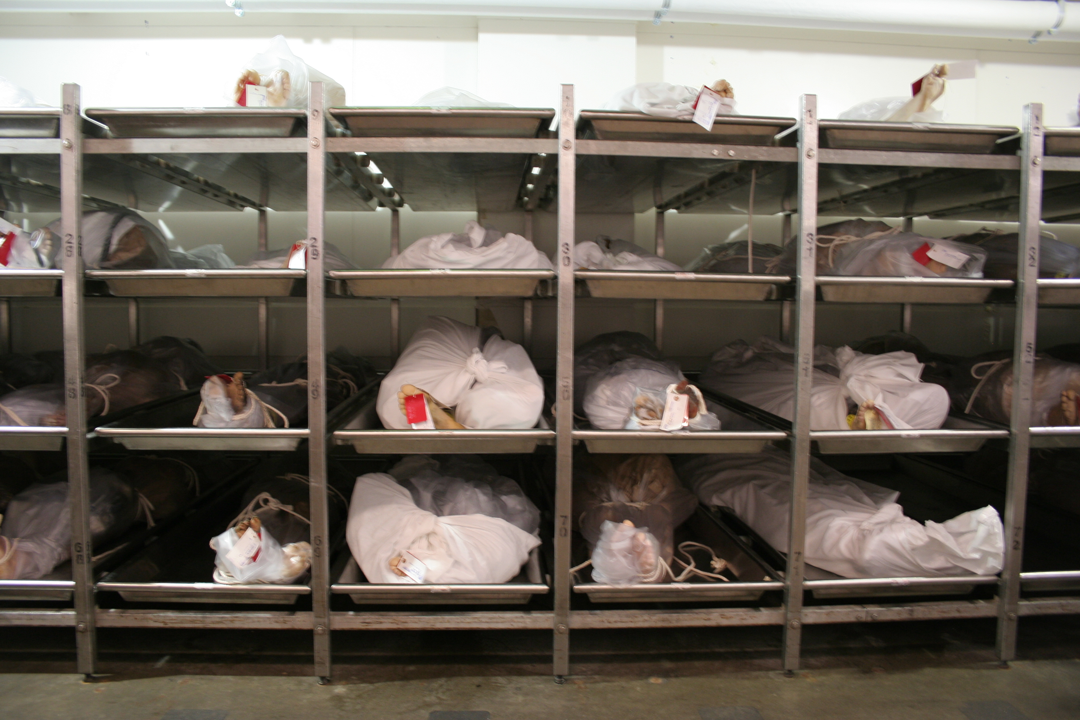 Post Mortem: IMG_4276.JPG
