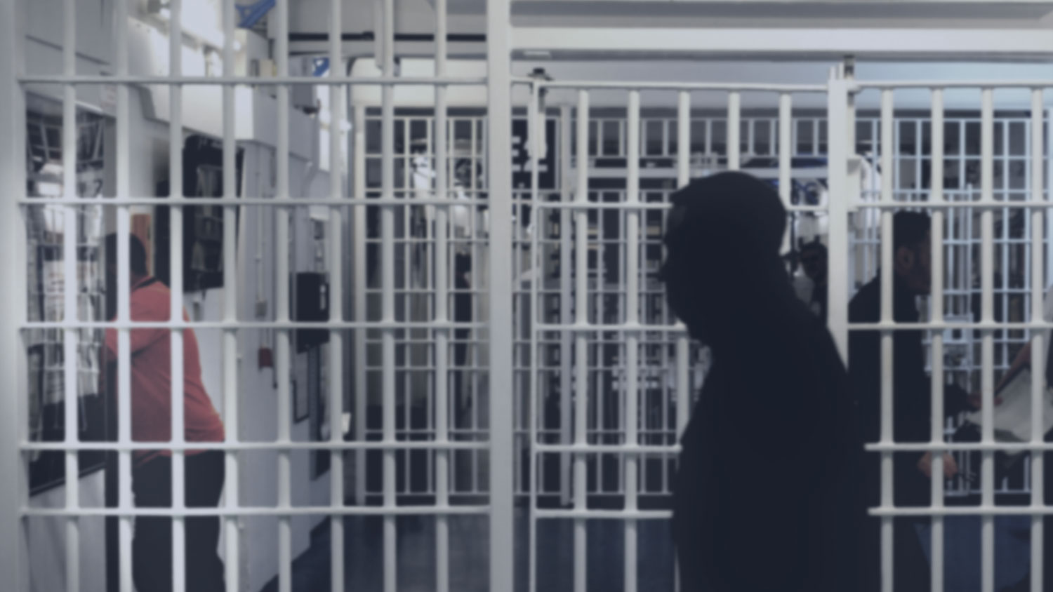 Locked Up in America Investigation