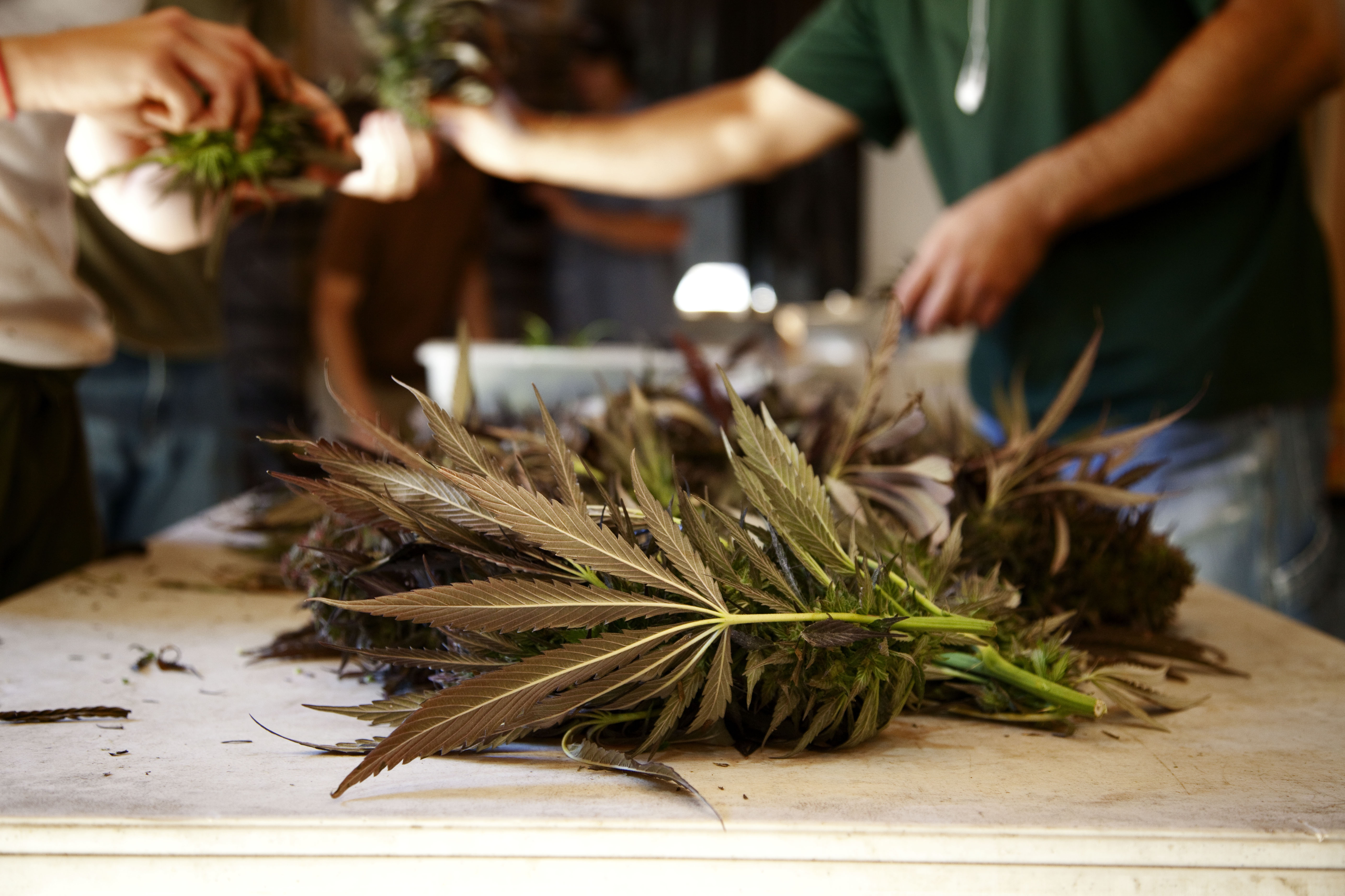 sorting pot