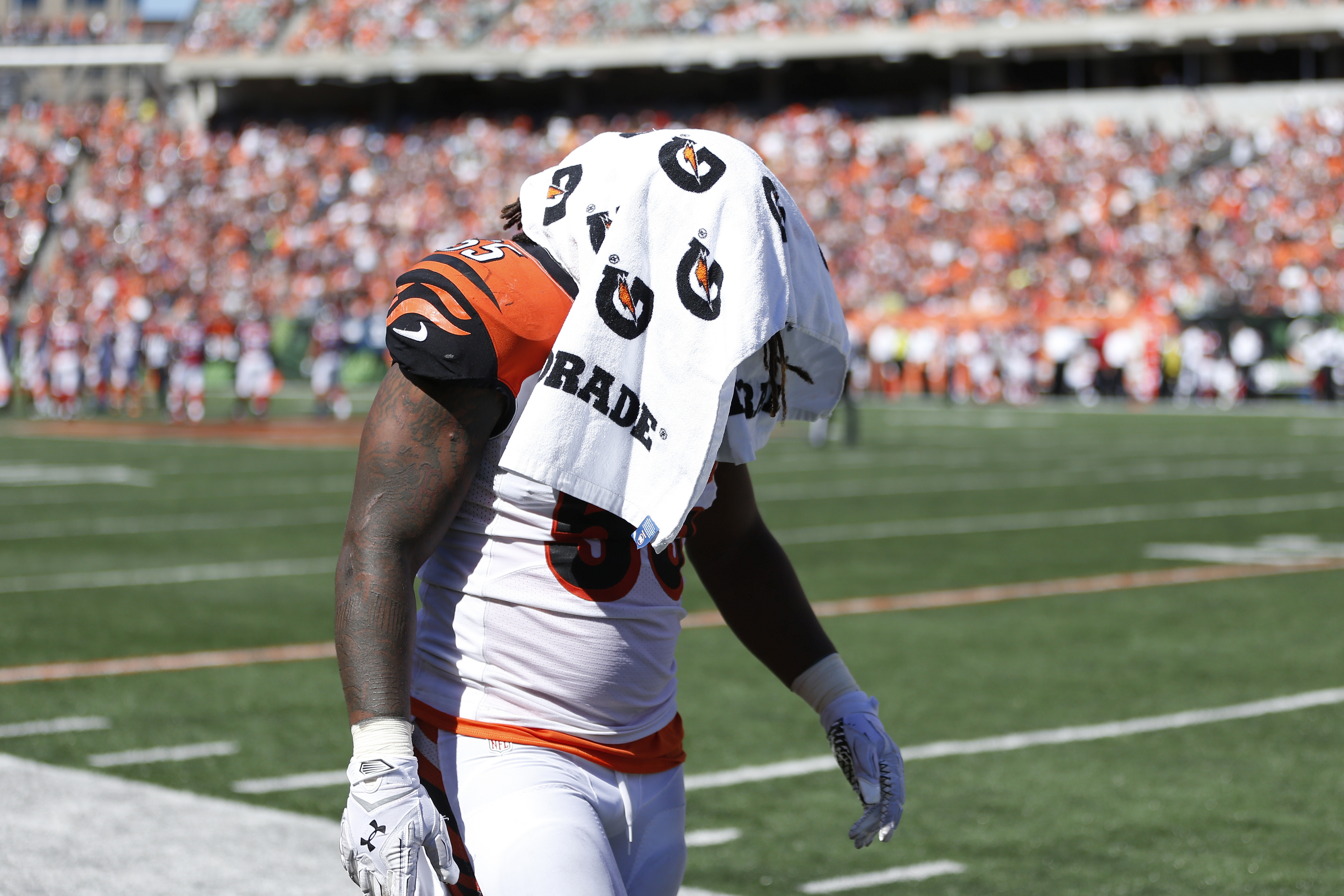 Atlanta Falcons v Cincinnati Bengals