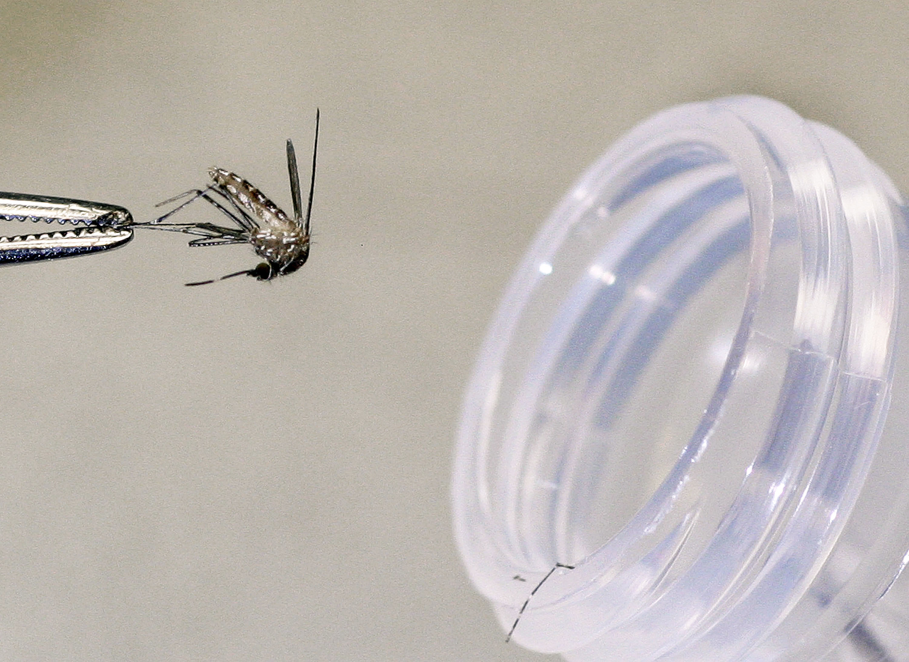 Arizona Officials Battle West Nile Virus