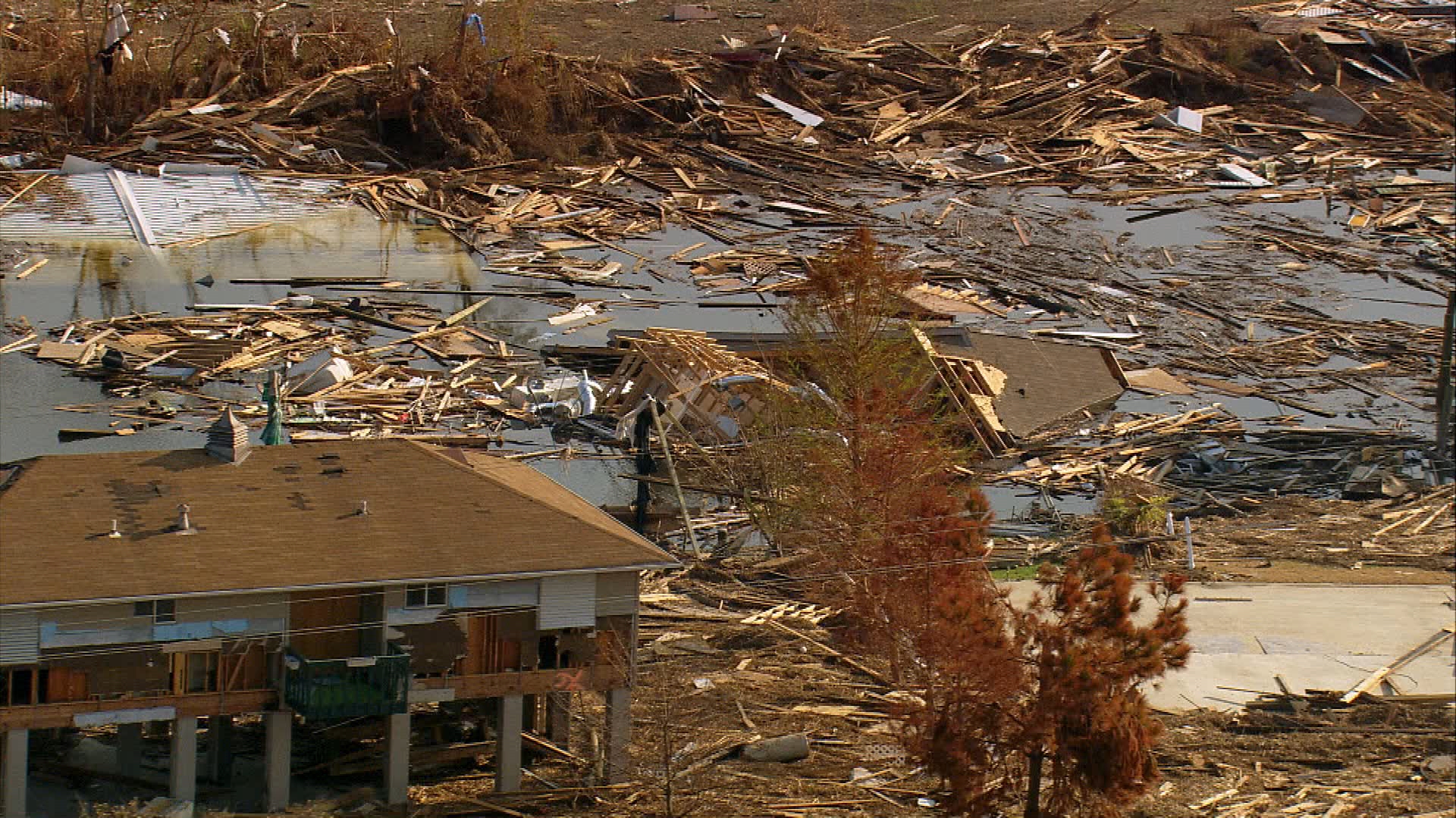 3411_BusinessOfDisaster_SG054