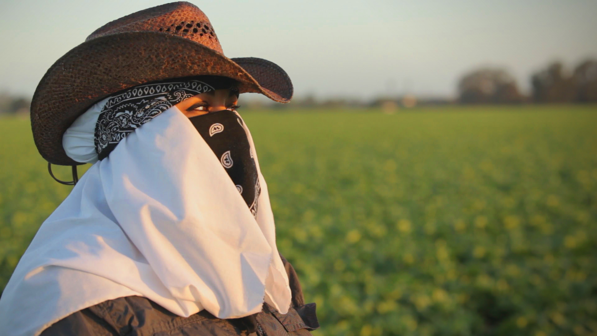 FL_Rape_in_the_Fields