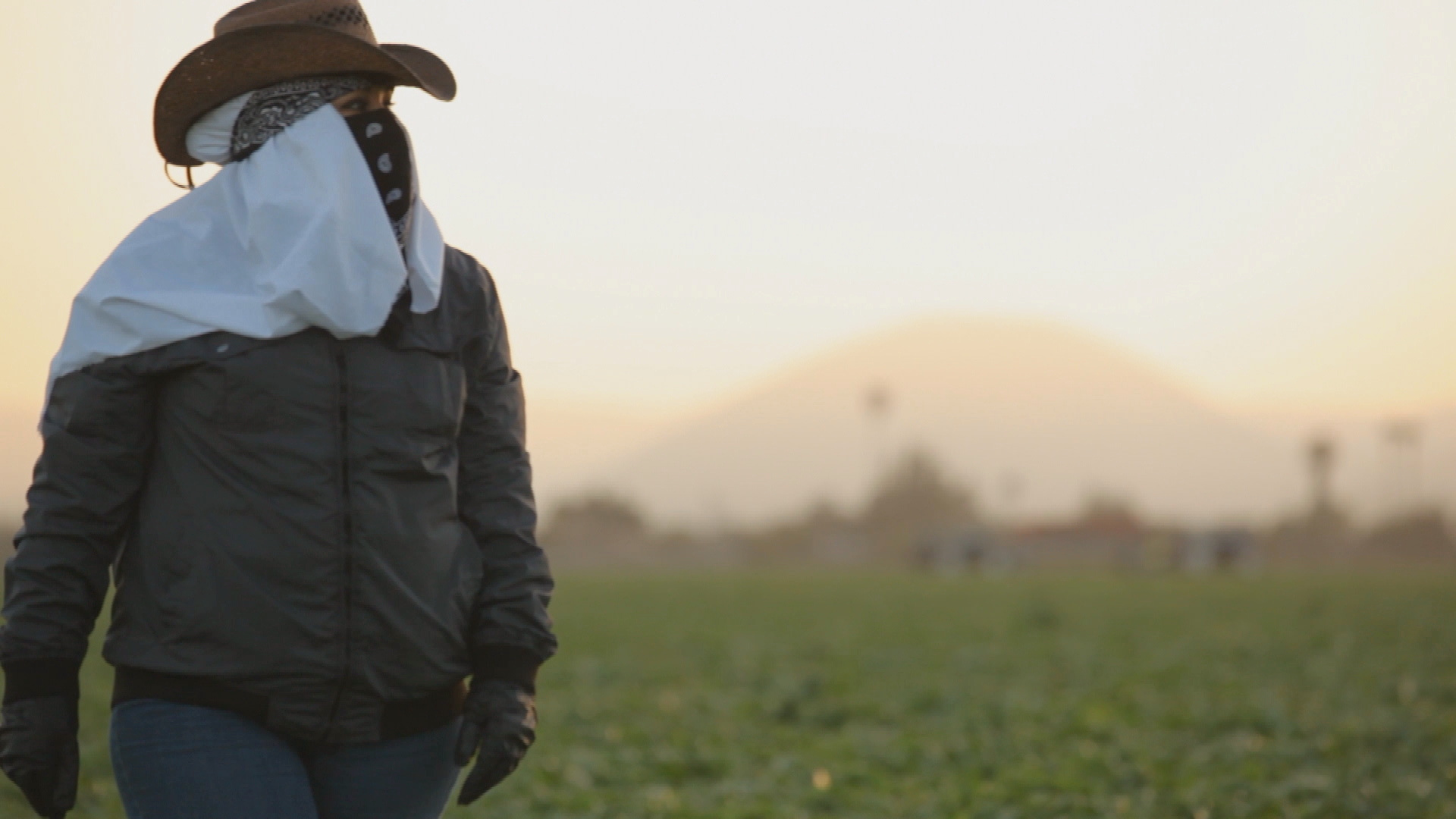 0006_RAPE_IN_THE_FIELDS