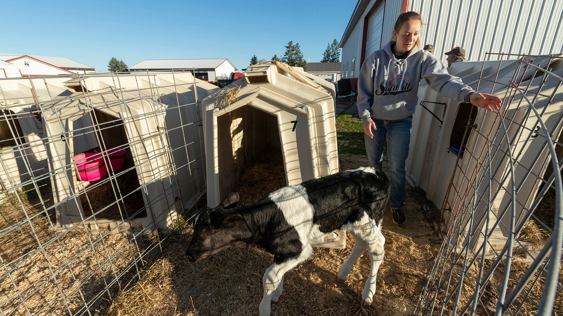 Wisconsin young dairy farmer