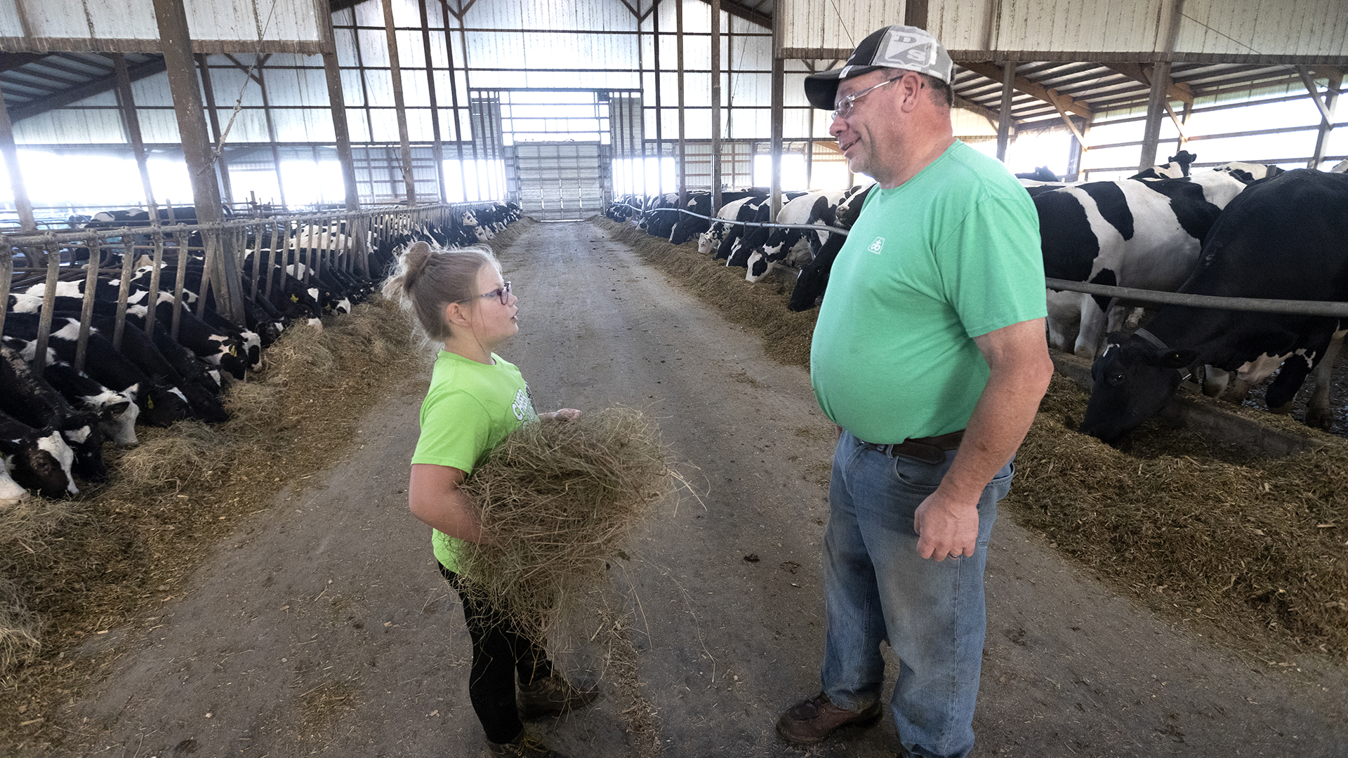 america dairyland new generation