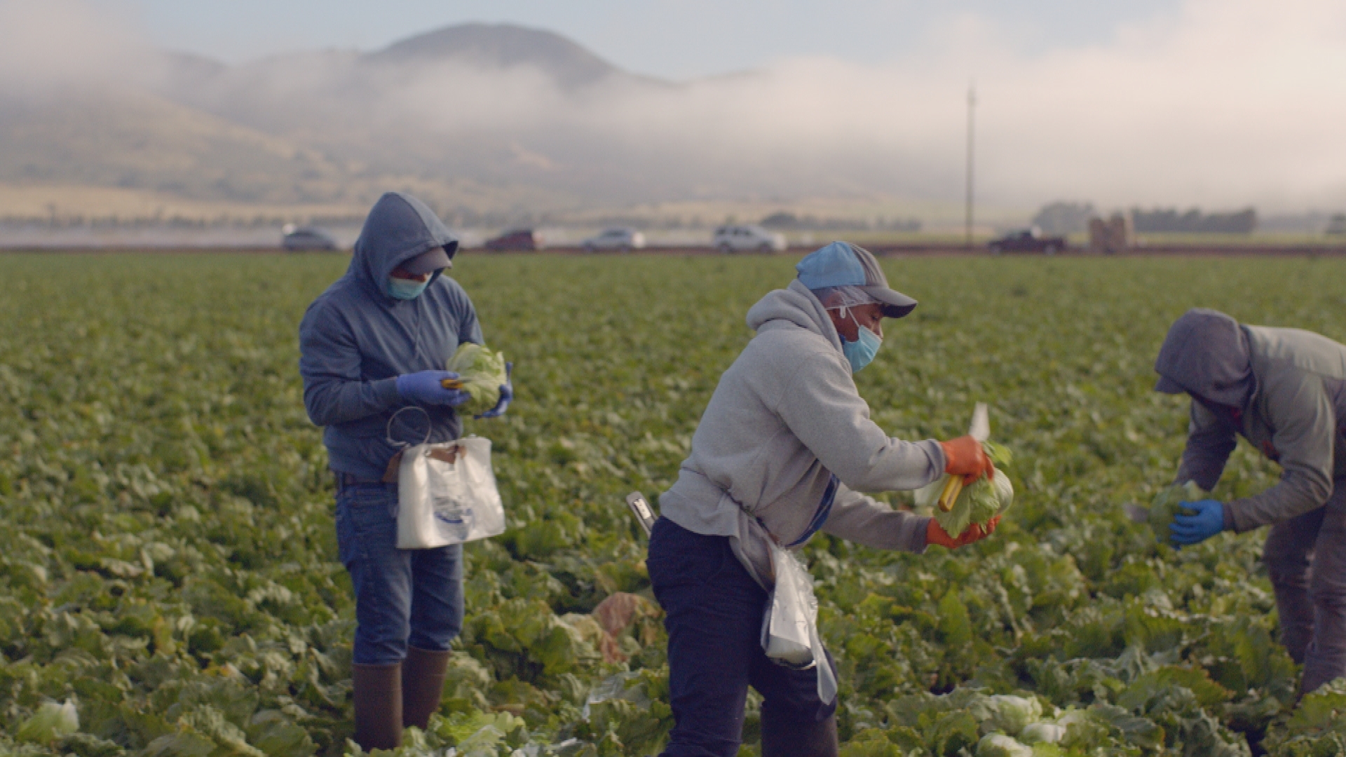covid-19-vaccines-undocumented-workers-migrant-farmworkers