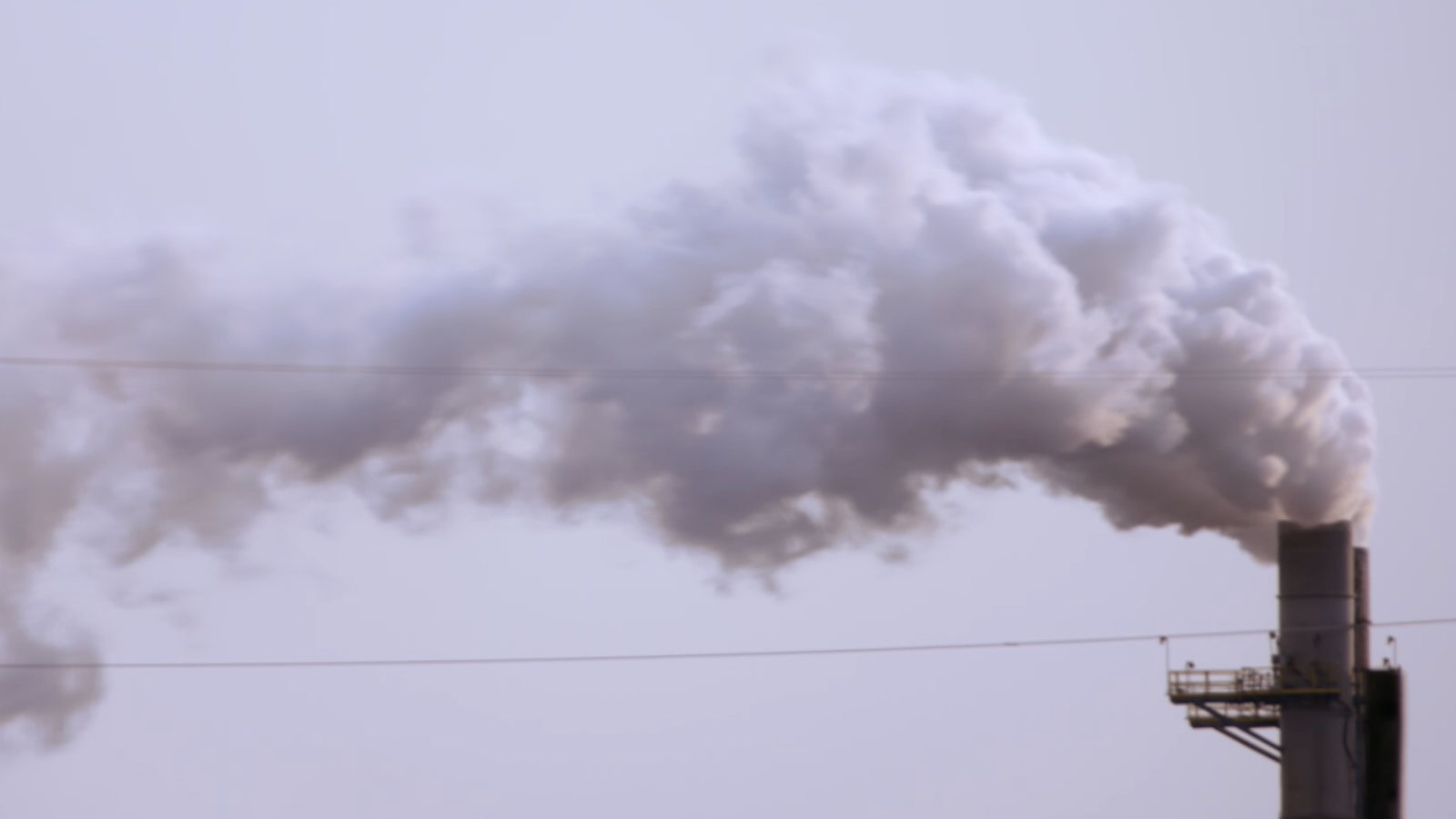 FL_BigOil_documentary_screengrab